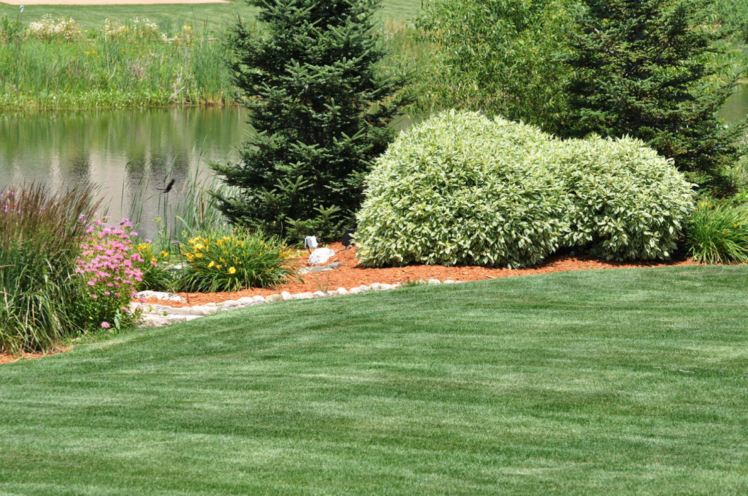 commercial-lawn-care-service-in-port-st-lucie-fl-palm-beach-county